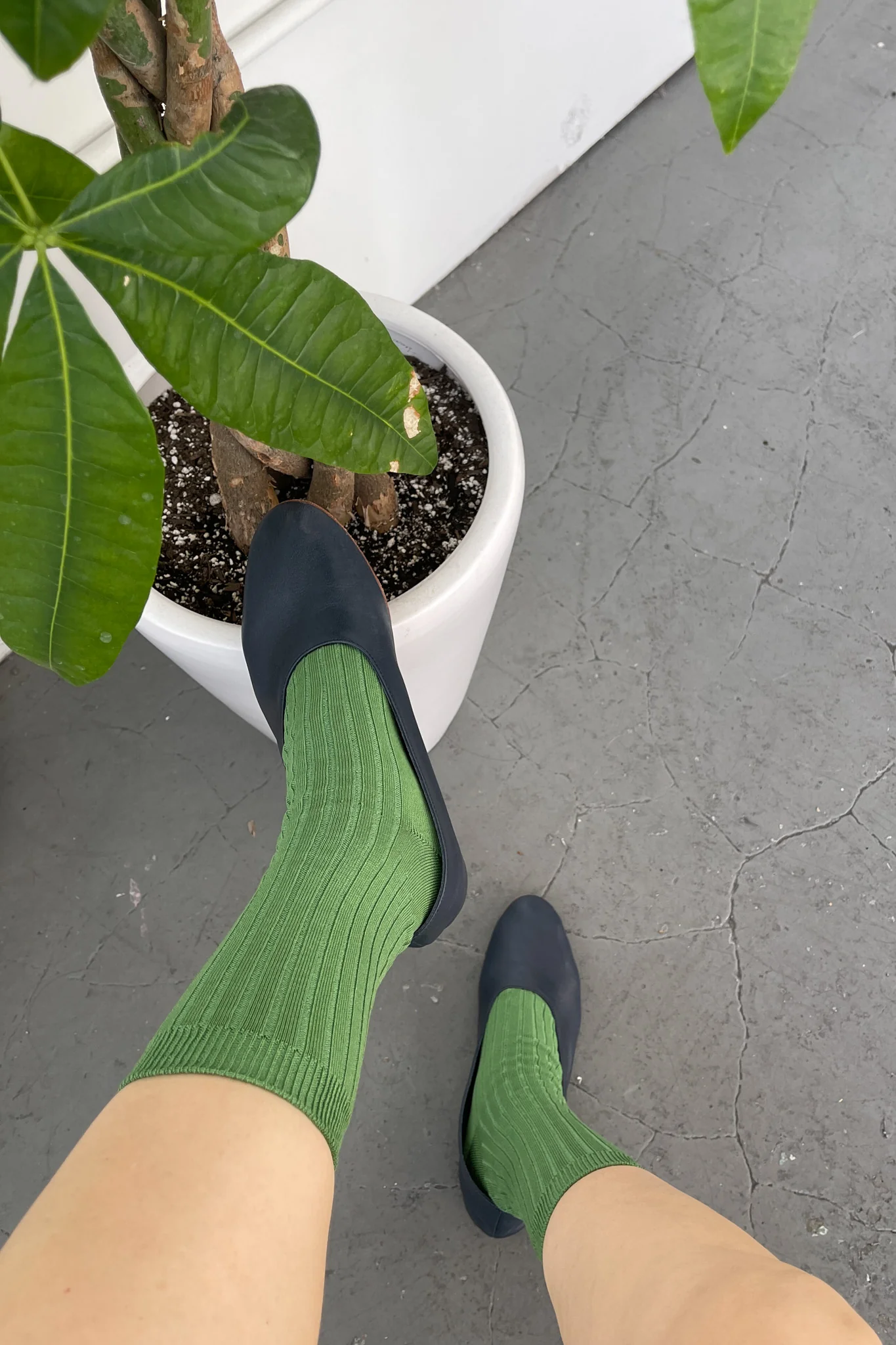 Her Socks (MC cotton) - Jade - Image 3