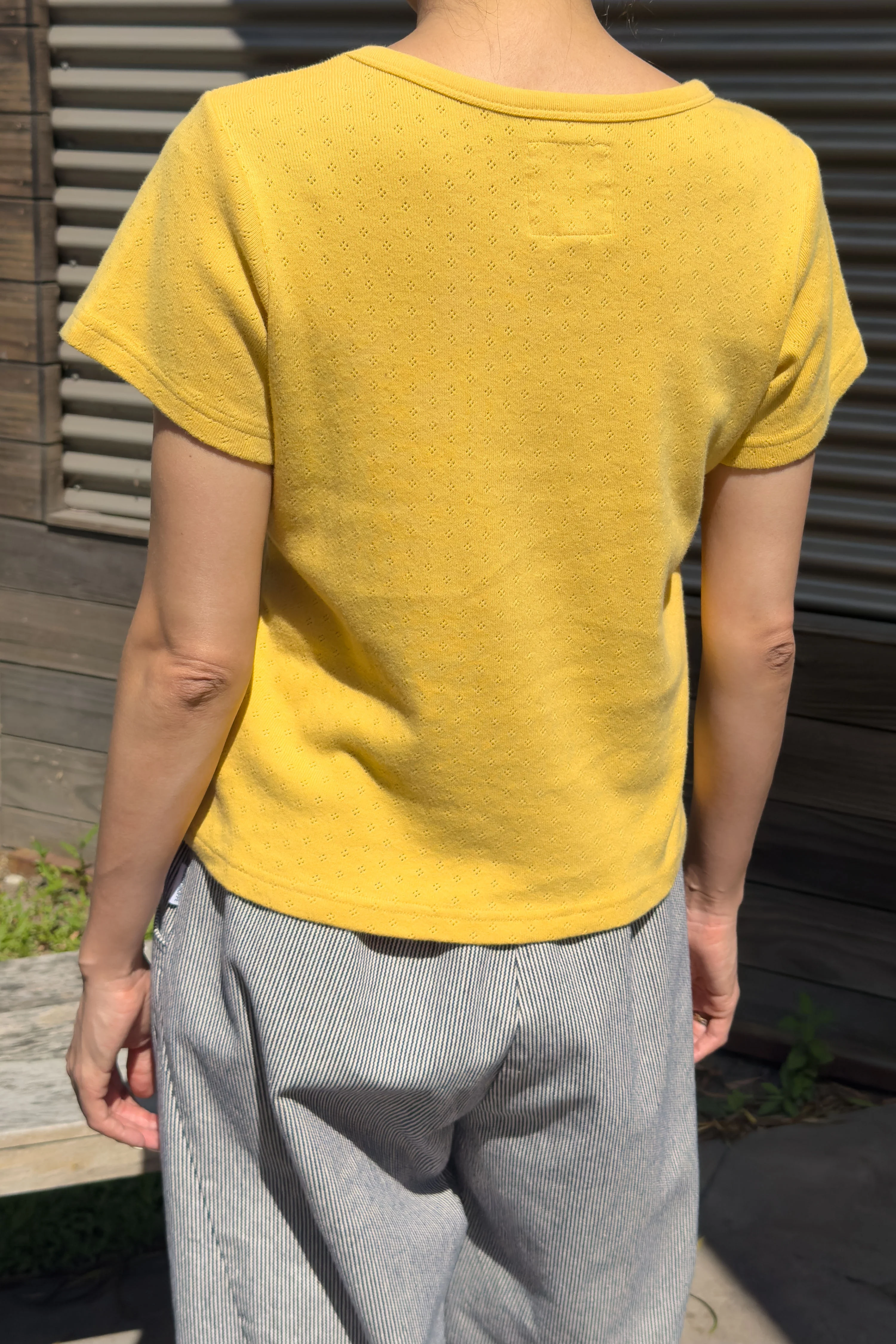 Pointelle Babe Tee - Deep Yellow - Image 4